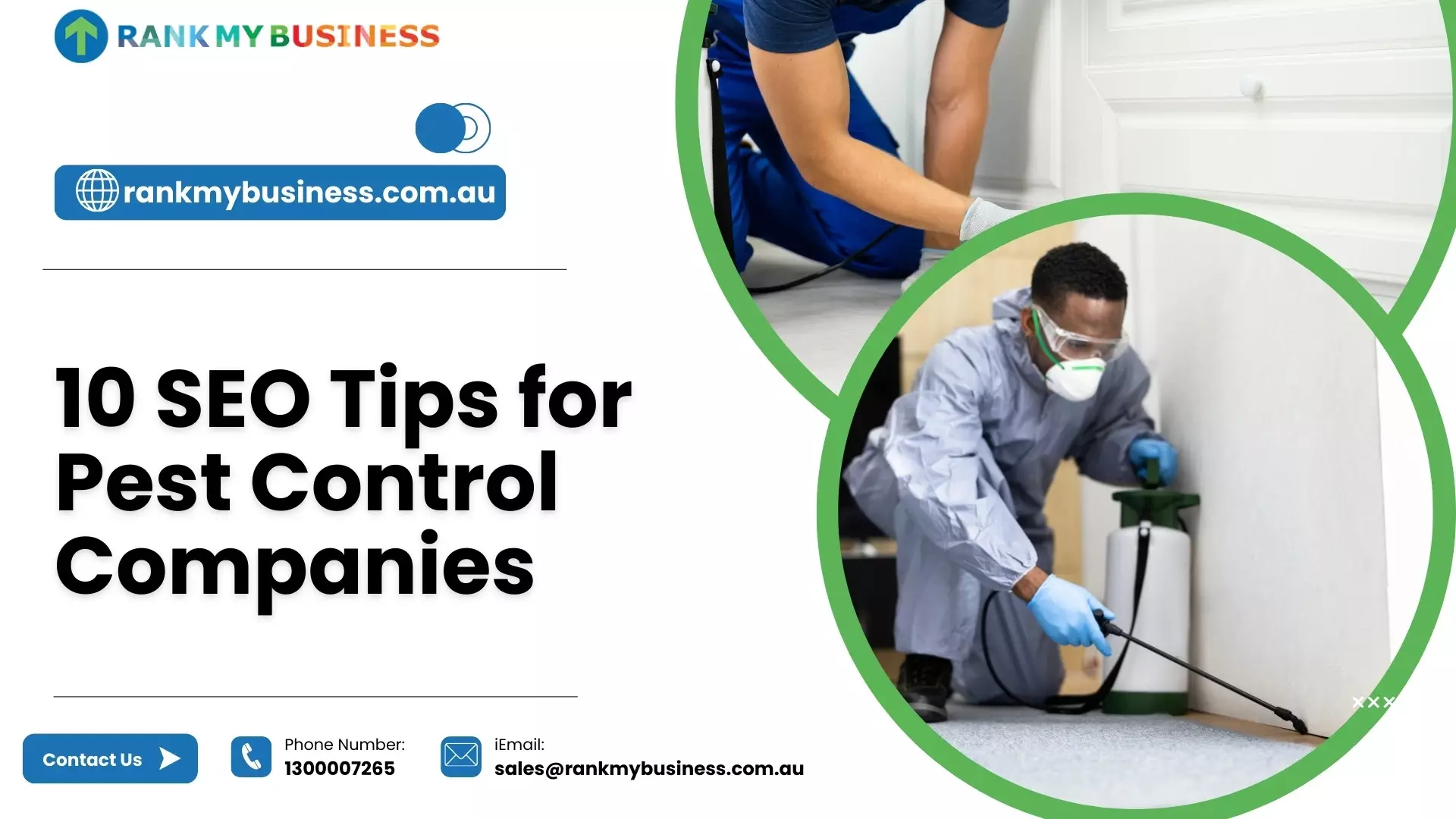 SEO Tips for Pest Control Companies